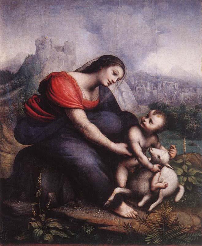 Cesare da Sesto Madonna and Child with the Lamb of God France oil painting art